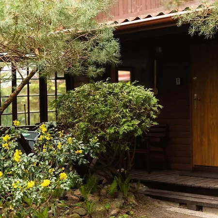 Letniskowe I Caloroczne W Kopalinie בית נופש *