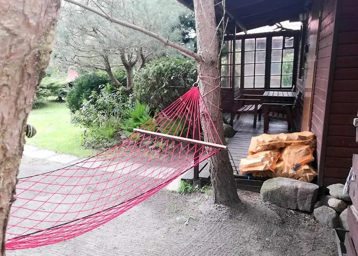 Letniskowe I Caloroczne W Kopalinie בית נופש קופלינו