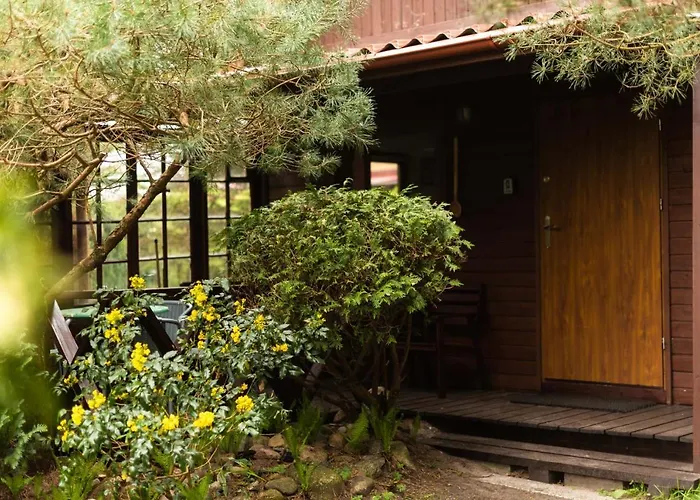 Letniskowe I Caloroczne W Kopalinie בית נופש *