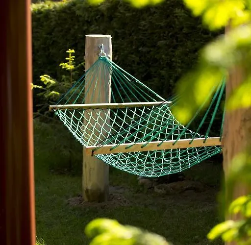 Letniskowe I Caloroczne W Kopalinie *